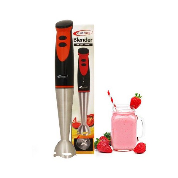 Mixeur Plongeant 300W - Florence HK-350